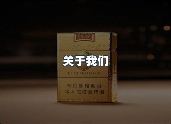 关于我们
